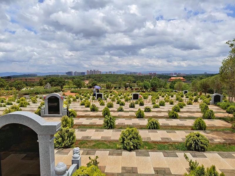 �����L�Ɉ@��ĹĹ�^չʾ