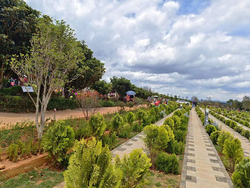 �����L�Ɉ@��Ĺ�h��չʾ