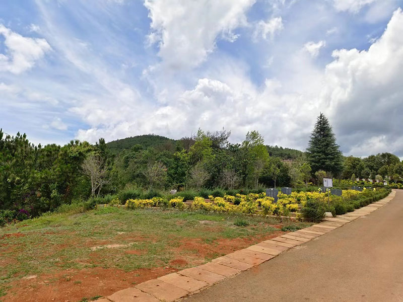 �����L�Ɉ@��Ĺ�h��չʾ