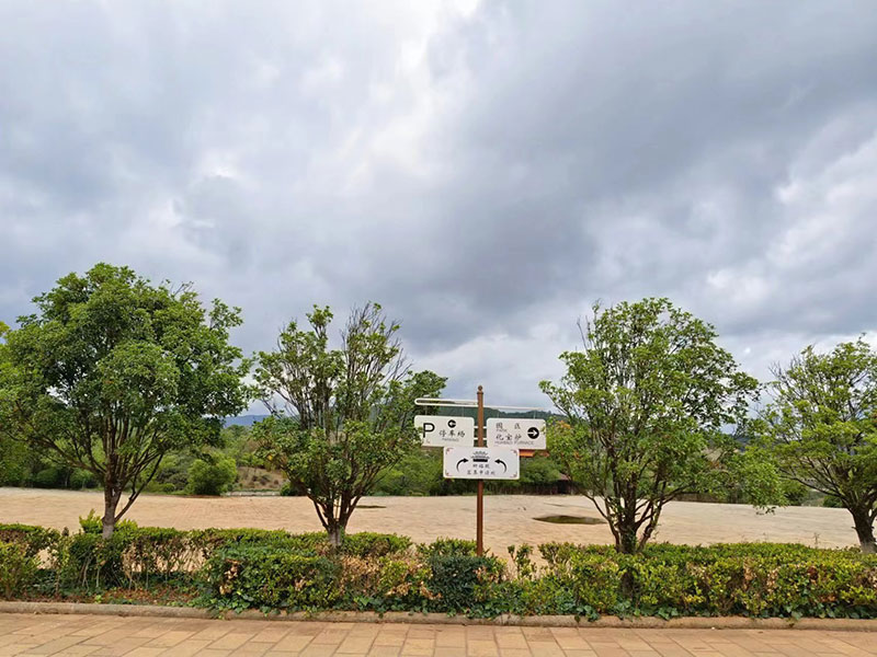 �����L�Ɉ@��Ĺ�h��չʾ