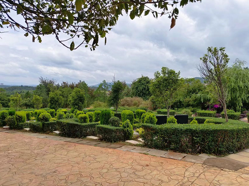 �����L(zh��ng)�Ɉ@��ĹĹ�حh(hu��n)����(sh��)��