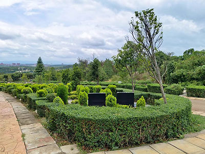 �L�Ɉ@��ĹĹ�حh������