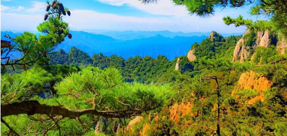 微信截圖_20240615222443.png 微信截圖_20240615222443.png