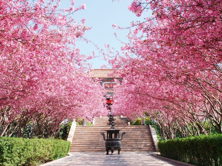 微信截圖_20240621084620.png 微信截圖_20240621084620.png