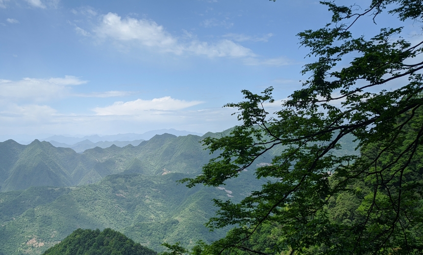 微信截圖_20240625092732.png 微信截圖_20240625092732.png