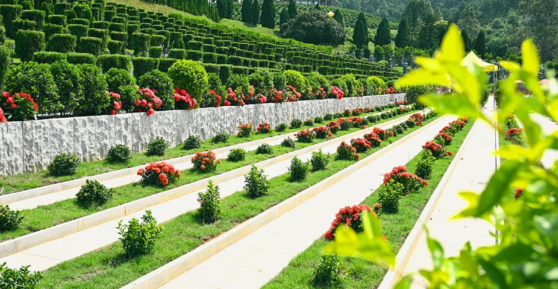 微信截圖_20240708161839.png 微信截圖_20240708161839.png